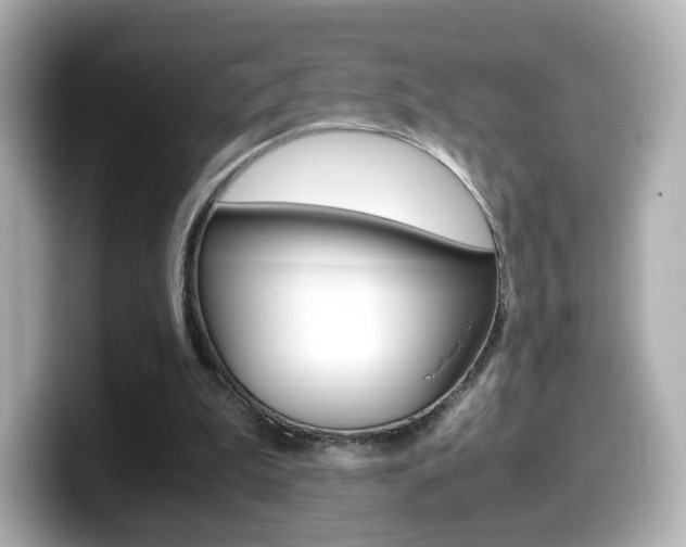 X0000099400199200805081248