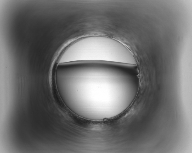 X0000099400200200805081248