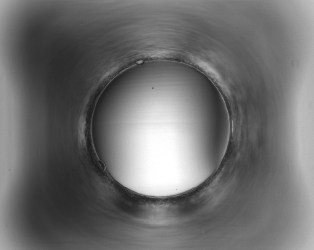 X0000099400201200805081248