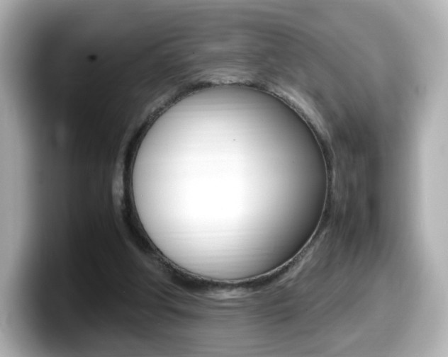 X0000099400202200805081248