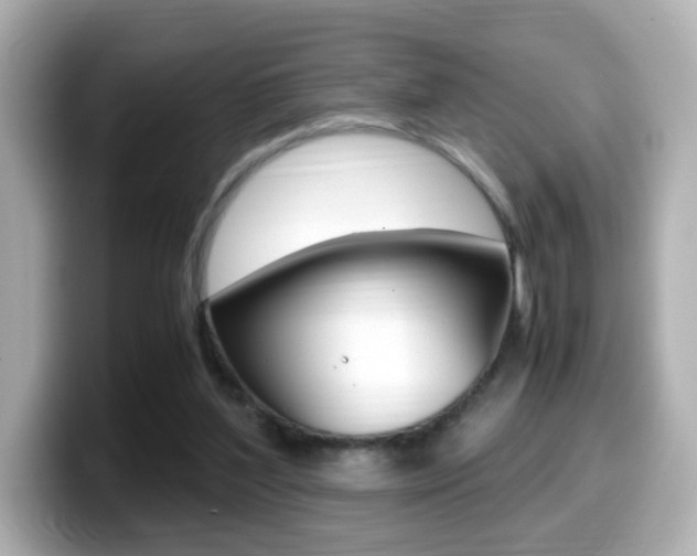 X0000099400204200805081248