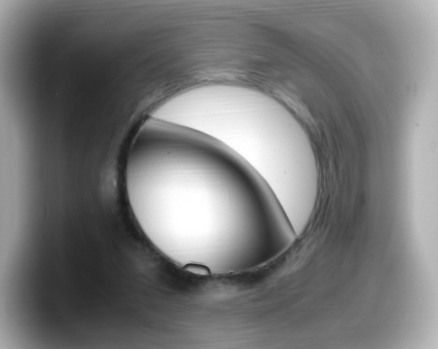 X0000099400207200805081248