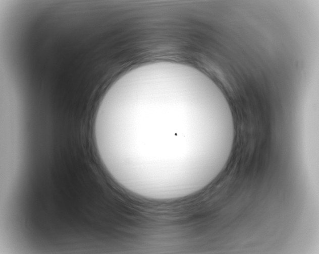 X0000099400210200805081248