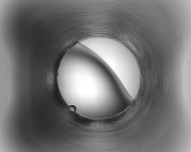 X0000099400211200805081248