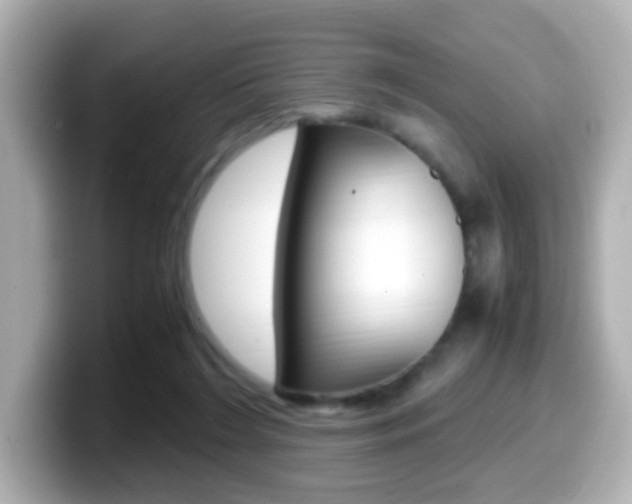 X0000099400212200805081248