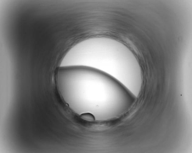 X0000099400213200805081248