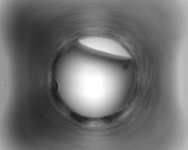 X0000099400215200805081248