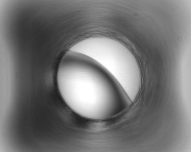 X0000099400217200805081248