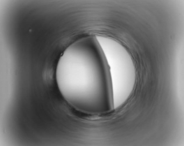 X0000099400219200805081248