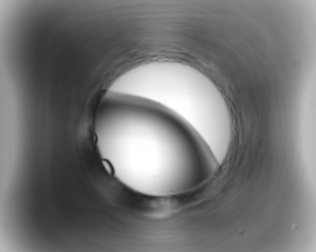 X0000099400225200805081248