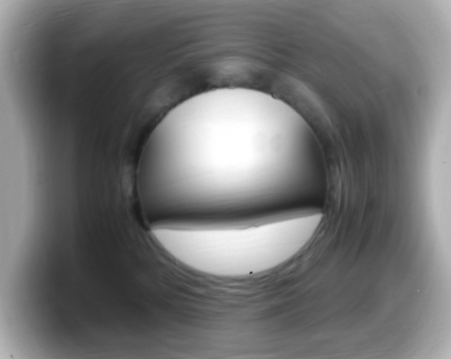 X0000099400232200805081248