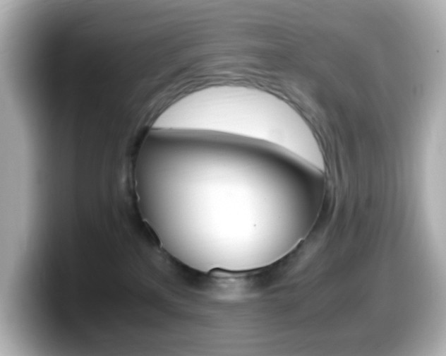 X0000099400233200805081248