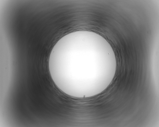 X0000099400234200805081248