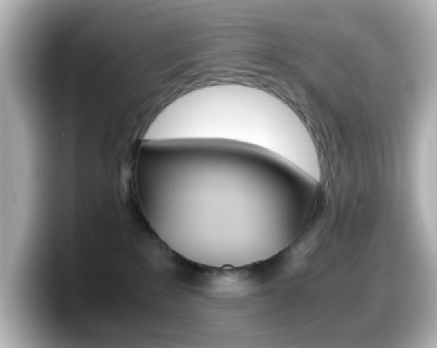 X0000099400235200805081248