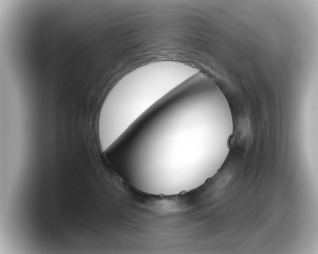 X0000099400236200805081248