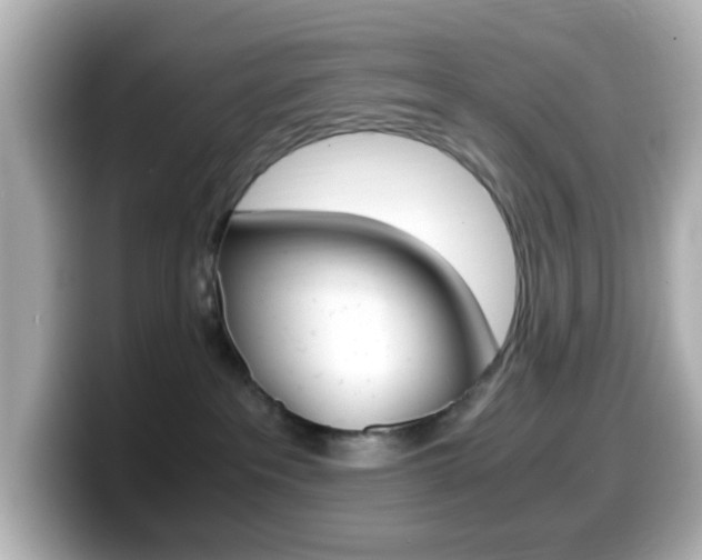 X0000099400237200805081248