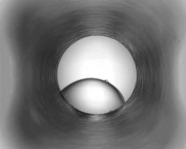 X0000099400238200805081248