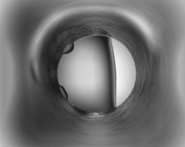 X0000099400239200805081248