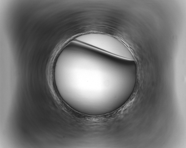 X0000099400241200805081247