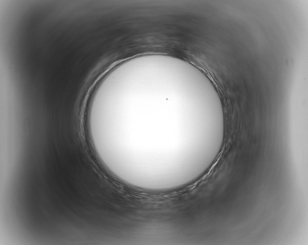 X0000099400243200805081247