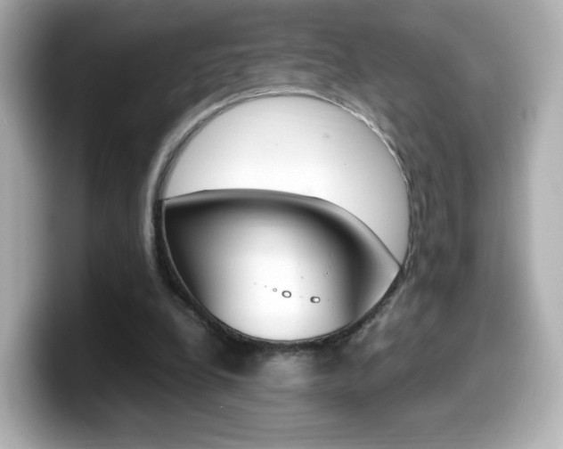 X0000099400248200805081247