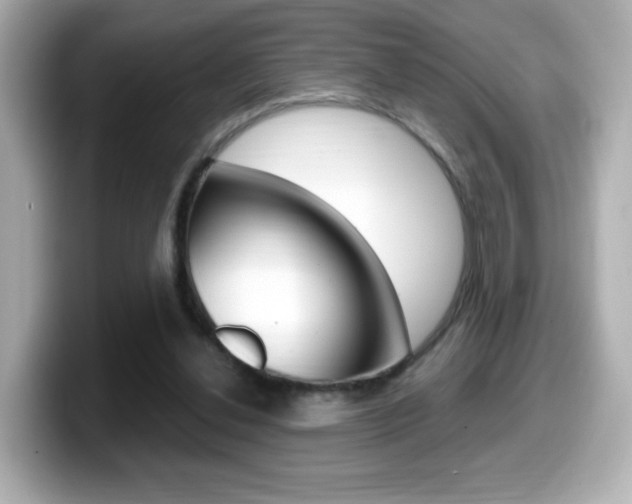 X0000099400252200805081247