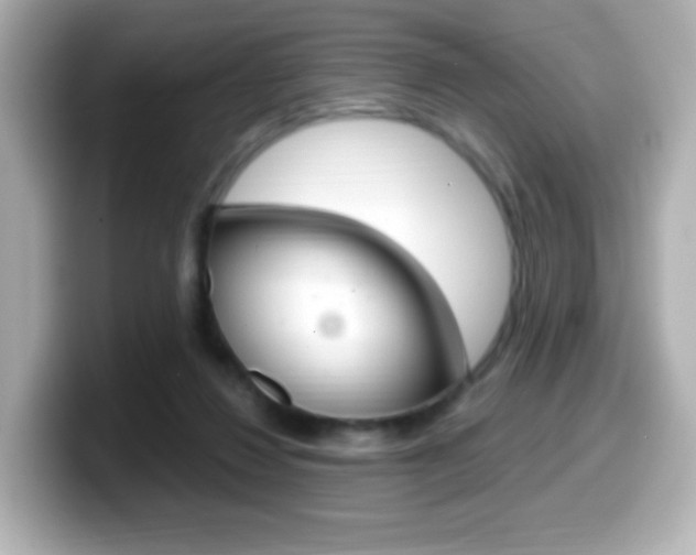 X0000099400260200805081247