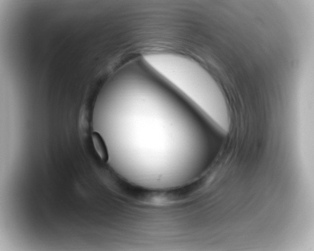 X0000099400264200805081247