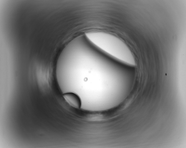 X0000099400266200805081247