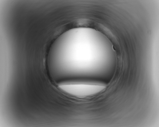 X0000099400269200805081247