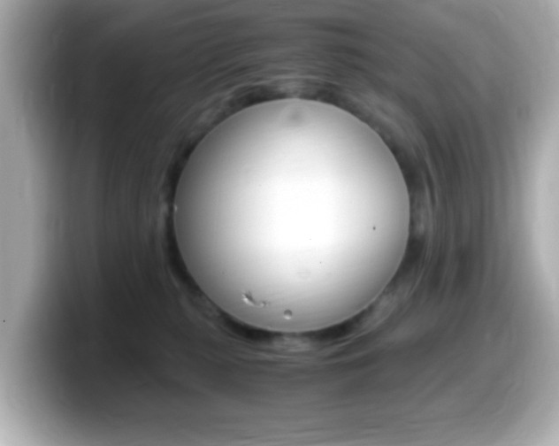 X0000099400279200805081247
