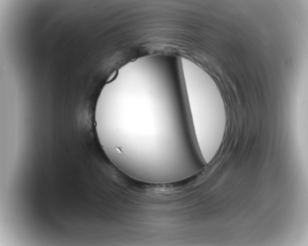 X0000099400282200805081247