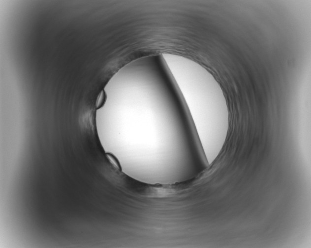 X0000099400286200805081248