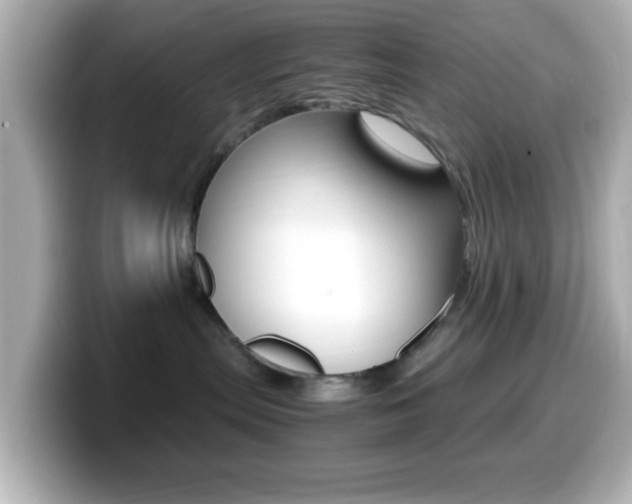 X0000099400287200805081248