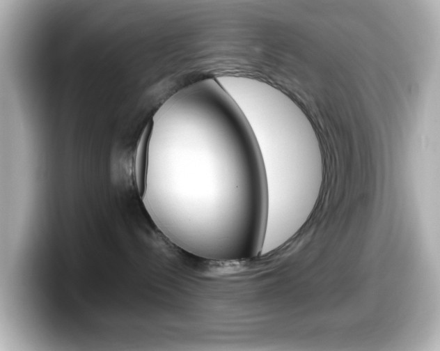 X0000099400288200805081248