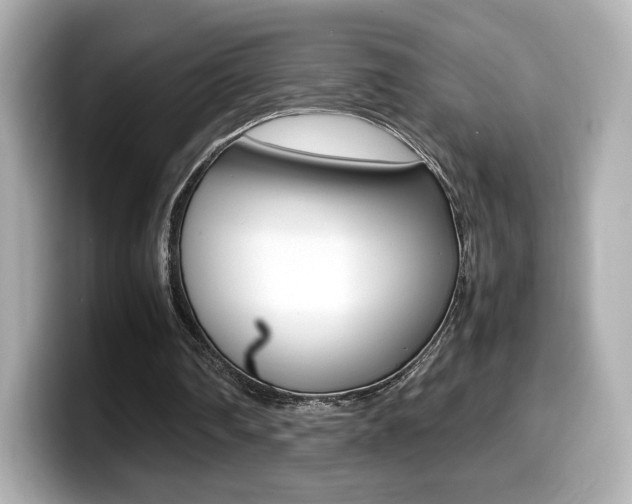 X0000099400290200805081247