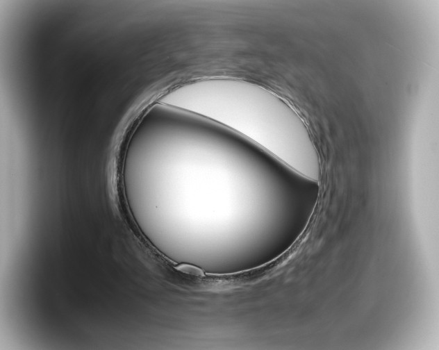 X0000099400293200805081247