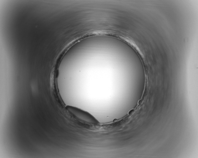 X0000099400297200805081247