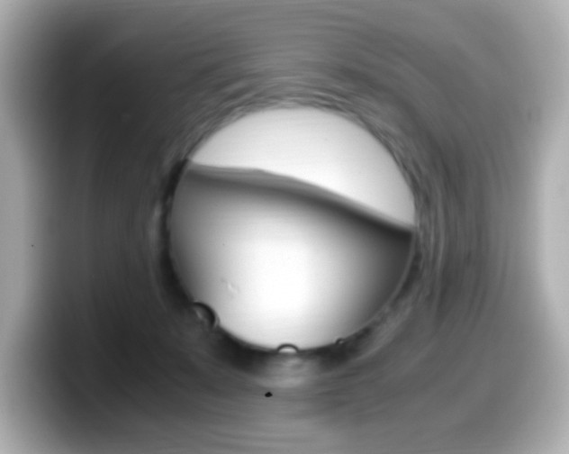 X0000099400319200805081246