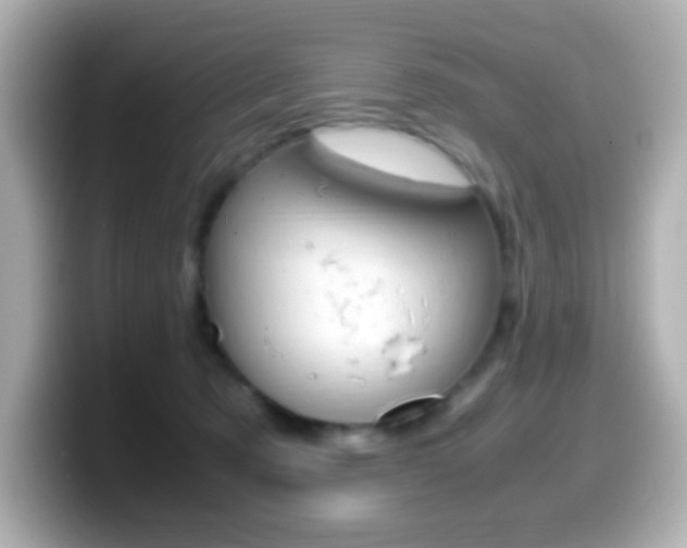 X0000099400321200805081246