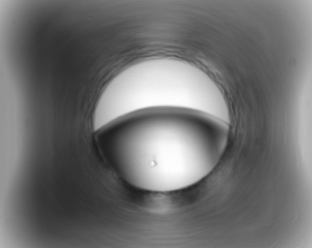 X0000099400325200805081246