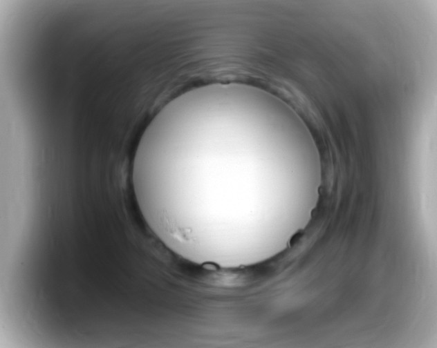 X0000099400326200805081246
