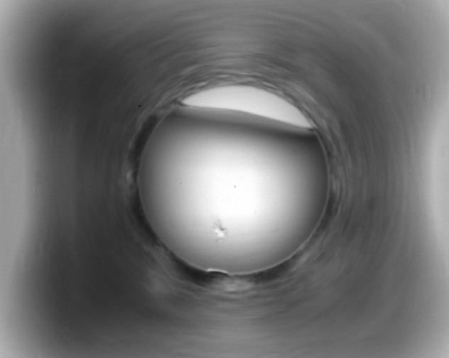 X0000099400327200805081246