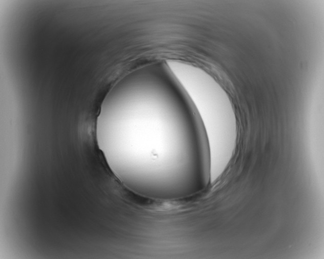 X0000099400329200805081246