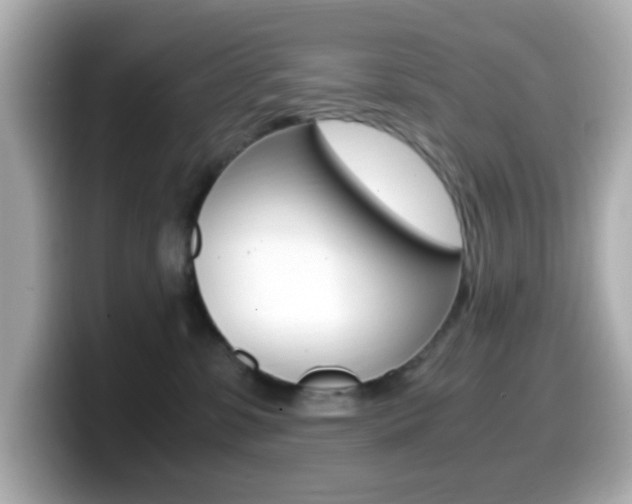X0000099400331200805081246
