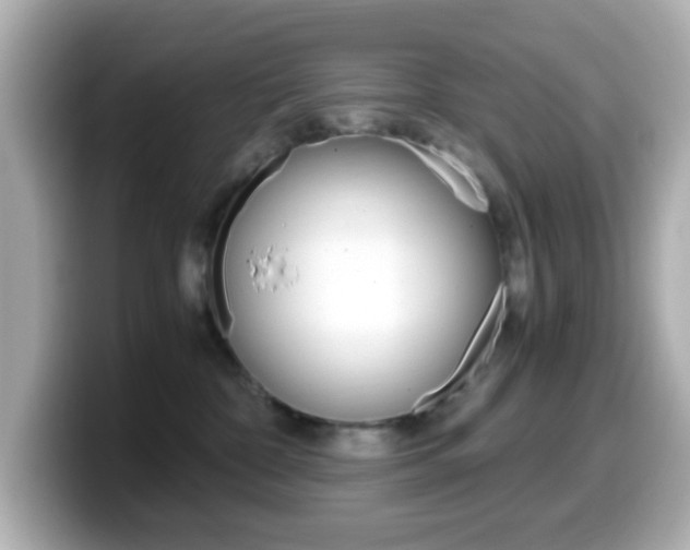 X0000099400332200805081246