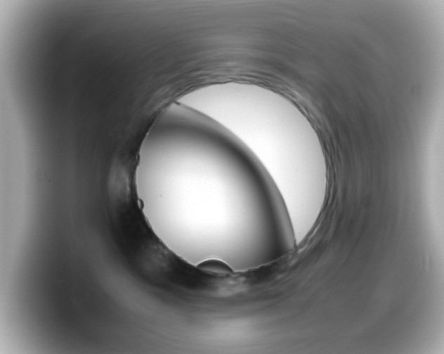 X0000099400333200805081246