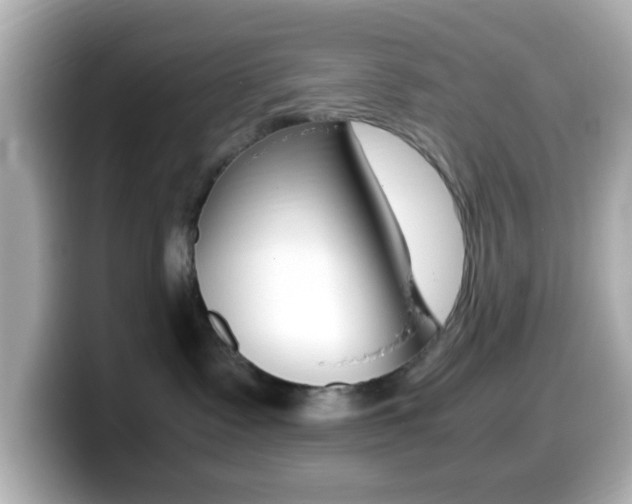 X0000099400335200805081246