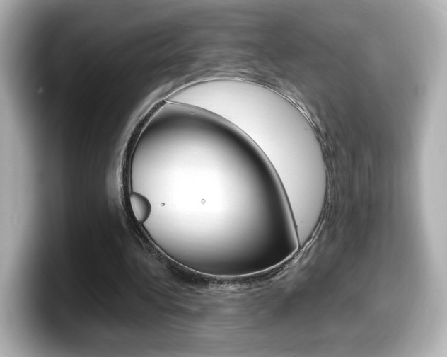 X0000099400340200805081246