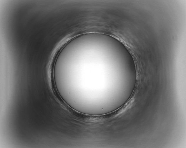X0000099400341200805081246